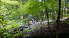camp29 (200)_thumb.png